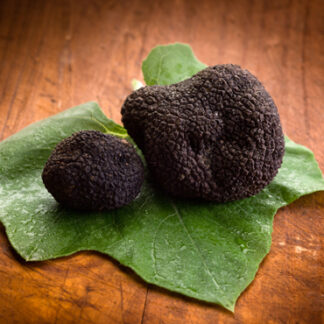 Black Truffle