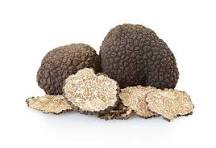 Black Truffle