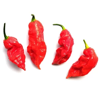 Ghost Pepper