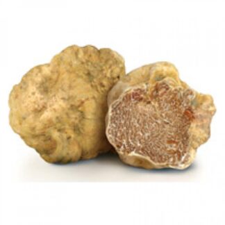 White Truffle